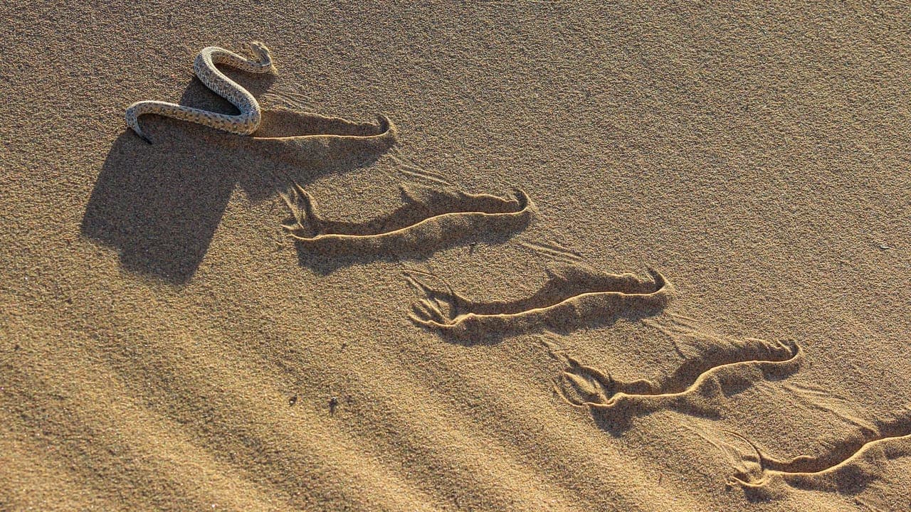 SideWinder Casusluk Kampanyası Güneydoğu Asya'ya Yayıldı